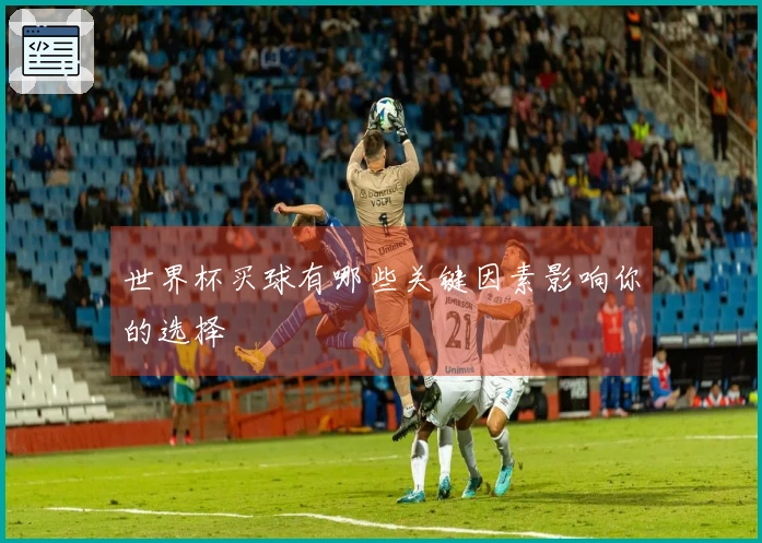 世界杯买球有哪些关键因素影响你的选择