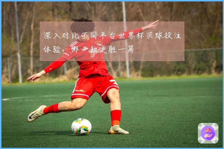 深入对比不同平台世界杯买球投注体验，哪一款更胜一筹